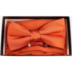 Veniz bow tie & handkerchief
