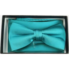 Veniz bow tie & handkerchief