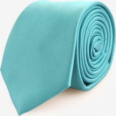 Veniz Men's 70mm Tie