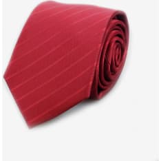 Veniz Men's Tie