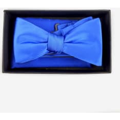 Veniz bow tie and handkerchief set
