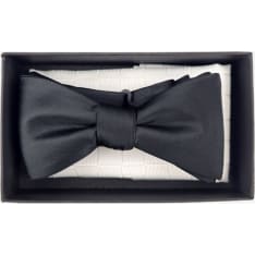 Veniz bow tie and handkerchief set