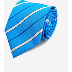 Veniz 150 cm men's tie