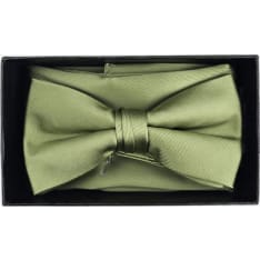 Veniz bow tie and handkerchief set