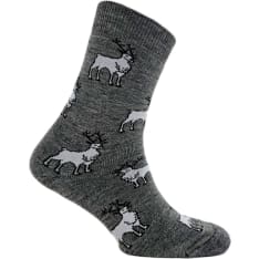 GreenGo Porotokka miesten kokofrotee merinovillasukat