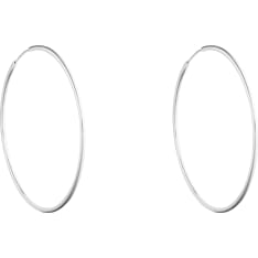 SK D66 Earrings