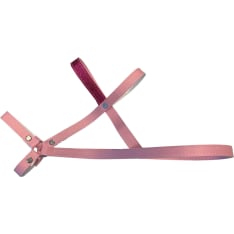 Bridle of a stick horse