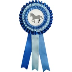 The prize rosette of a stick horse