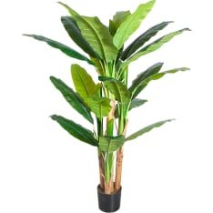 Lykke Banana Tree 170cm tekokasvi