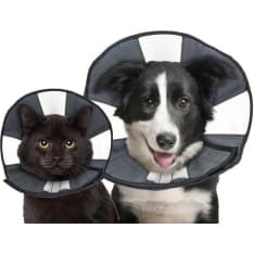 Zenpet Procone lemmikin kauluri