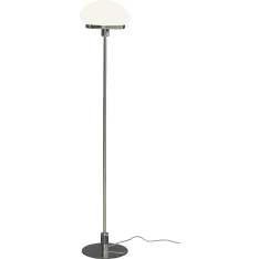 Aneta Lighting New August lattiavalaisin