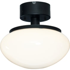 Aneta Lighting New August plafonds