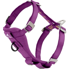 Kurgo Tru-Fit koiran valjas