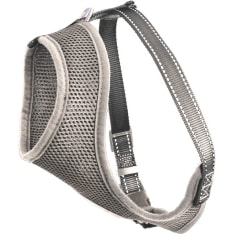Dogman Iris gray collar