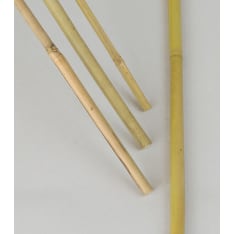 Nelson Garden bamboo stick