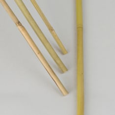 Nelson Garden bamboo stick