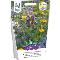 Nelson Garden flower mix for insects 20g seed