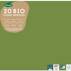 Duni Leaf green napkin