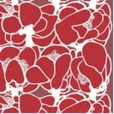 Duni Vallila Makeba red napkin