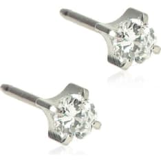 Blomdahl Tiffany earrings
