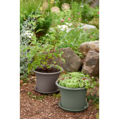 Orthex Botanica 26 cm olive green saucer