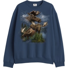 Walk Studio men`s sweatshirt