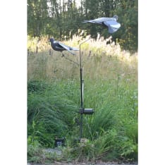 5etta 12V pigeon carousel