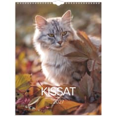 Wall calendar 2027 Cat