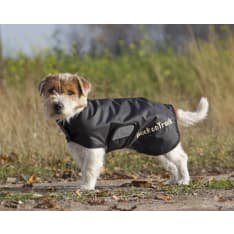 Back on Track Hugo dog coat