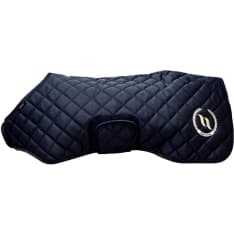 Back on Track Nights Collection blue dog coat