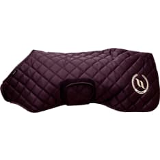 Back on Track Nights Collection burgundy dog coat