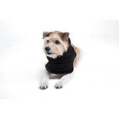 Back on Track Bob dog collar