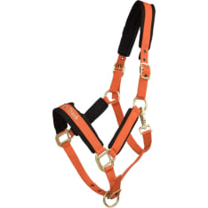 Back on Track halter Werano