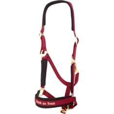 Back on Track halter Werano