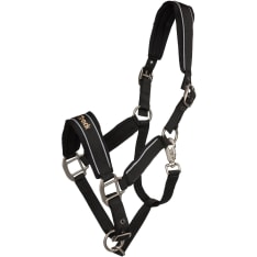 Back on Track Werano Halter with Reflectors