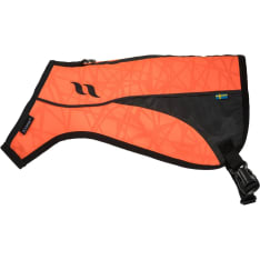 Back on Track POINT dog attention vest