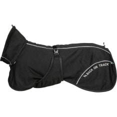 Back on Track BAY dog sweatshirt