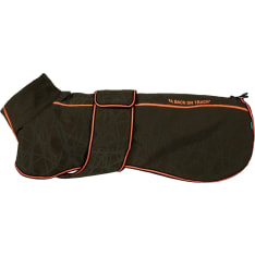 Buddy 2.0 Softshell dog jacket