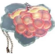 Linnapaperi license reflector