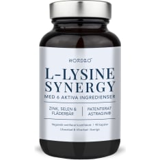 Nordbo L-Lysine Synergy 90 kaps. ravintolisä