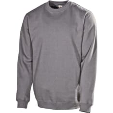 L.Brador 637PB collegepusero