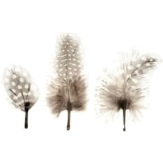 Glorex Deco feathers app.15pcs mix