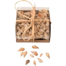 Glorex Shell mix in Box 90g