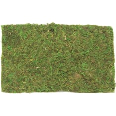 Moos sheet 30g in a bag
