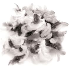 Deco feathers white-black-grey 10g