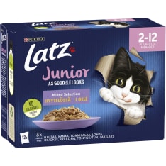 Latz Agail 12 x 85 g Junior Mixed lajitelma hyytelössä kissanpennun märkäruoka