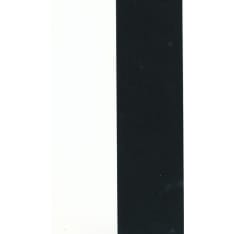 Farnia 48 mm x 90 m chip satin ribbon
