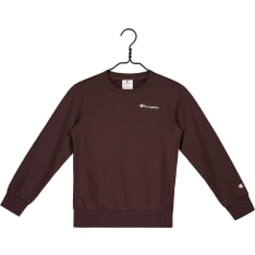 Champion kid's sweatshirt