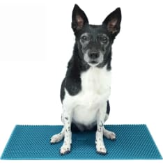FitPaws K9 FitMat alusta n. 60 x 30 cm harjoitusalusta koiralle