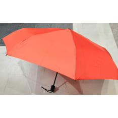 Lasessor umbrella